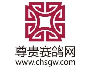 深圳市尊貴科技有限公司 創(chuàng)新引領(lǐng)未來科技